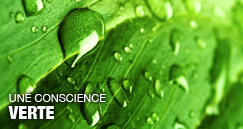 Des solutions écologique